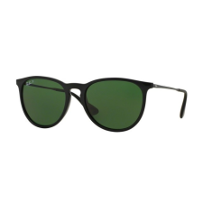 Ray-Ban RB4171 601/2P ERIKA BLACK POLAR GREEN napszemüveg napszemüveg