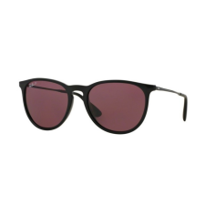 Ray-Ban RB4171 601/5Q ERIKA BLACK POLAR PURPLE napszemüveg napszemüveg