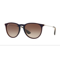 Ray-Ban RB4171 631513 ERIKA TRASPARENT BROWN SP BLUE BROWN GRADIENT DARK BROWN napszemüveg