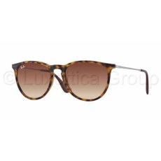 Ray-Ban RB4171 865/13