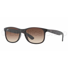 Ray-Ban RB4202 607313 ANDY MATTE BROWN BROWN GRADIENT napszemüveg napszemüveg