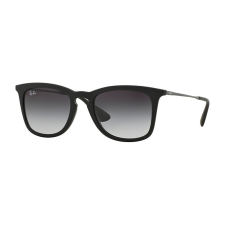 Ray-Ban RB4221 622/8G napszemüveg