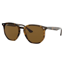 Ray-Ban RB4306 710/83 HAVANA POLAR BROWN napszemüveg napszemüveg