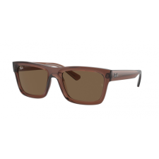 Ray-Ban RB4396 667873 napszemüveg