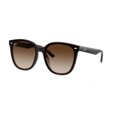 Ray-Ban RB4423D 714/13 napszemüveg