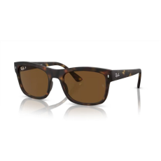 Ray-Ban RB4428 894/57 HAVANA POLARIZED BROWN napszemüveg