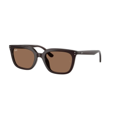 Ray-Ban RB4439D 623173 napszemüveg