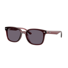 Ray-Ban RB4461D 659373 Transparent Dark Brown Violet napszemüveg
