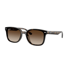 Ray-Ban RB4461D 710/13 Havana Gradient Brown napszemüveg napszemüveg