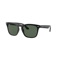 Ray-Ban RB4487 662971 STEVE BLACK DARK GREEN napszemüveg napszemüveg