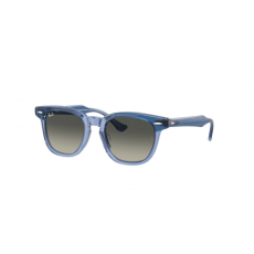Ray-Ban RJ9098S 715911