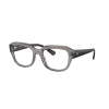 Ray-Ban RX7225 8316 LEONID Transparent Grey Demo Lens szemüveg