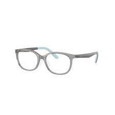 Ray-Ban RY1614D 3908 Transparent Grey Demo Lens szemüveg szemüvegkeret