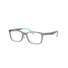 Ray-Ban RY1626D 3908 Transparent Grey DEMO LENS szemüveg