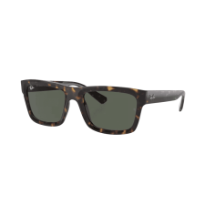Ray-Ban Warren RB4396 135971 napszemüveg