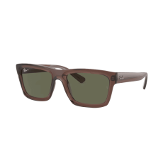 Ray-Ban Warren RB4396 66789A
