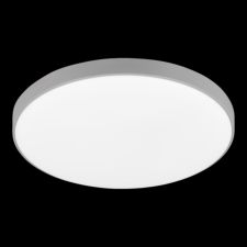 Reality Spica LED kültéri mennyezeti lámpa 1x18W LED D27 kerek kültéri világítás