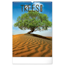 REALSYSTEM Falinaptár képes 330×460mm Trees Realsystem 2024. naptár, kalendárium