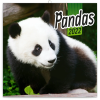 REALSYSTEM Pandas, képes lemeznaptár 2022
