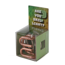 Recent Toys Mennyire vagy briliáns elme? logikai játék oktatójáték