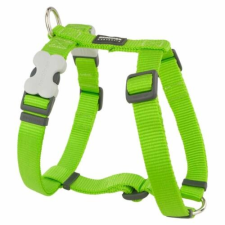Red Dingo Lime Small Dog hám nyakörv, póráz, hám kutyáknak