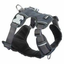 Red Dingo Padded dog hám Small Grey nyakörv, póráz, hám kutyáknak