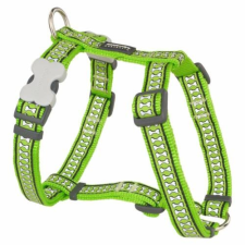 Red Dingo Reflective Lime XS Dog hám nyakörv, póráz, hám kutyáknak
