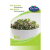 RÉDE Retek Csíramag 30 g