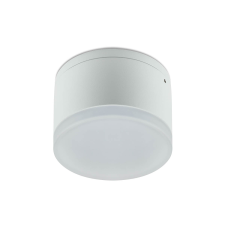 REDO Akron fehér LED kültéri mennyezeti lámpa (RED-90106) LED 1 izzós IP54 kültéri világítás