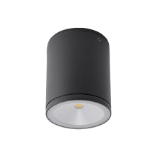 REDO Eta sötétszürke LED kültéri mennyezeti lámpa (RED-9599) LED 1 izzós IP54 kültéri világítás