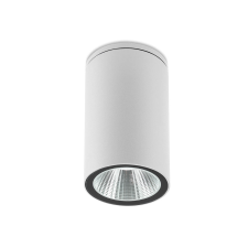 REDO Ram fehér LED kültéri mennyezeti lámpa (RED-90081) LED 1 izzós IP65 kültéri világítás