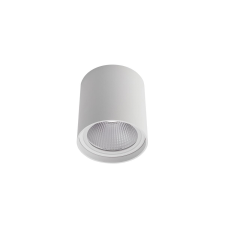 REDO Xia fehér LED kültéri mennyezeti lámpa (RED-9580) LED 1 izzós IP54 kültéri világítás