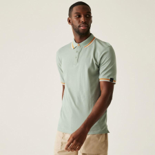 Regatta Adryan Polo Férfi pamut piké póló színes férfi póló