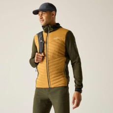 Regatta AndrsnMarlHy Férfi hibrid kabát színes