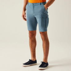 Regatta Bendrick Shorts Férfi short színes