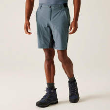 Regatta Eldes Shorts Férfi technikai short színes férfi rövidnadrág