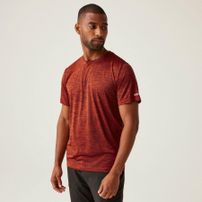 Regatta Fingal Edition férfi gyorsan száradó póló színes férfi póló