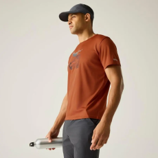 Regatta Fingal Férfi póló színes