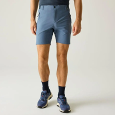 Regatta Mountain Shorts Férfi technikai short színes
