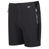 Regatta Mountain ShortsII férfi technikai short fekete