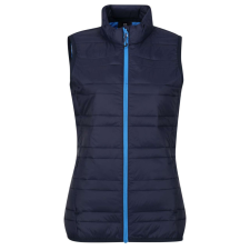 Regatta RETRA857 WOMEN&#039;S FIREDOWN DOWN-TOUCH INSULATED BODYWARMER L munkaruha