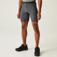 Regatta Xert StrShort III férfi technikai short szürke