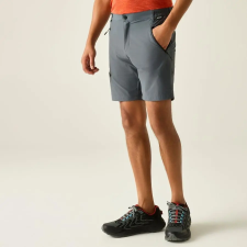 Regatta XertStretchShorts Férfi technikai short kék férfi rövidnadrág