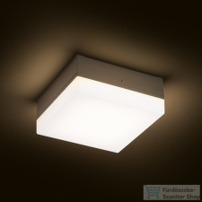 Rendl SPECTACLE felületre szerelhető ezüstszürke 230V LED 5W IP54 3000K R11968 világítás