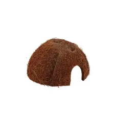Repti Planet Coco Shell | Kókuszhéj bújóka terráriumi állatoknak - S kisállatfelszerelés