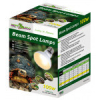 Repti-Zoo Repti Zoo Beam Spot | Melegítő spot izzó - 150 W