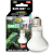 Reptile Nova Daylight UVA terrárium izzók 100 W