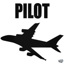  Repülőgép pilóta Autómatrica matrica