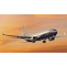  Revell Boeing 737-800 1:288 (03809) makett