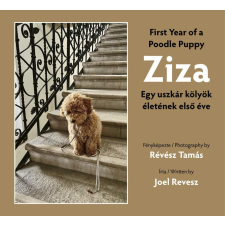 Révész Tamás, Joel Revesz - Ziza gyermek- és ifjúsági könyv
